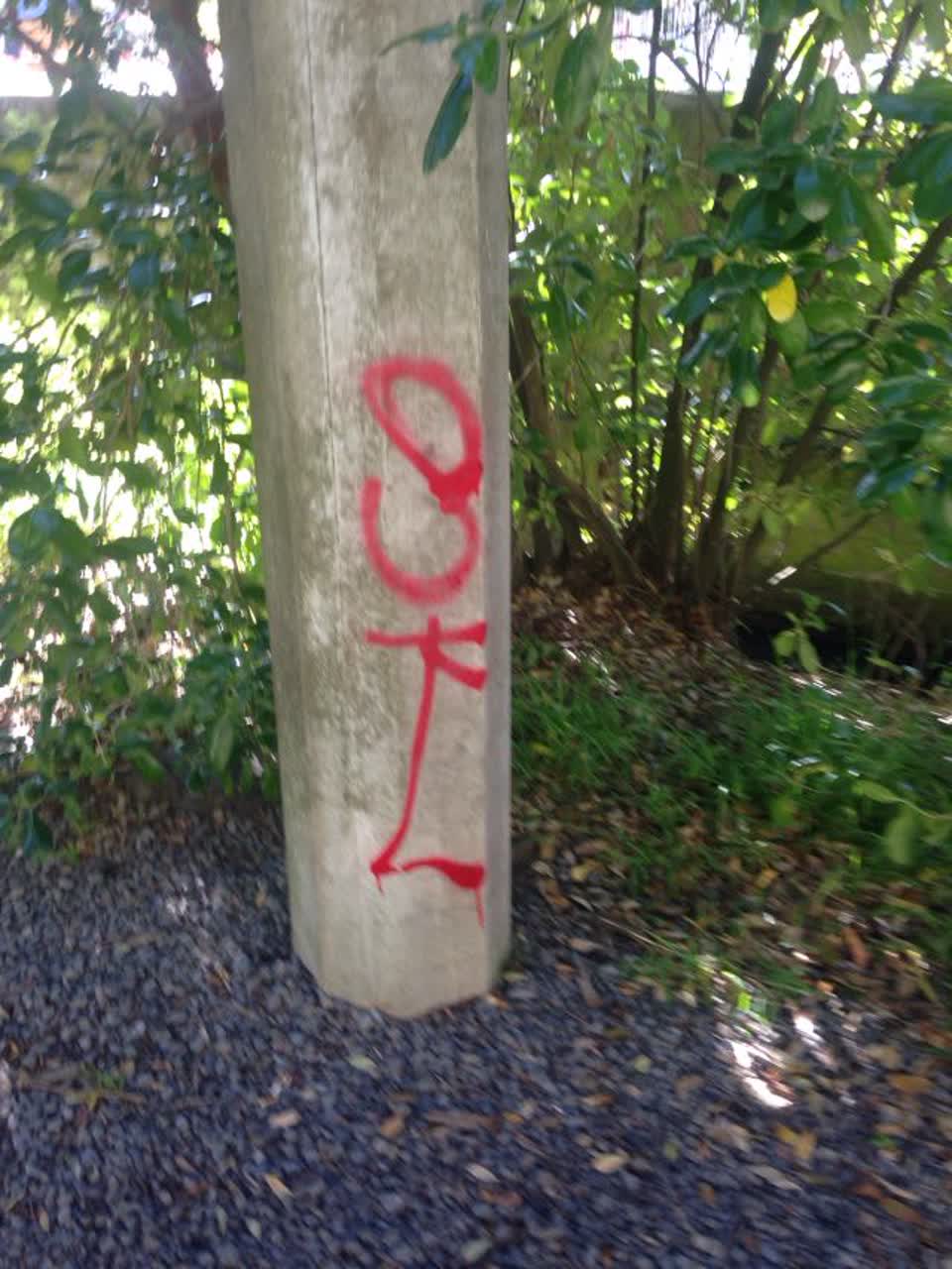 The photograph attached to this graffiti report