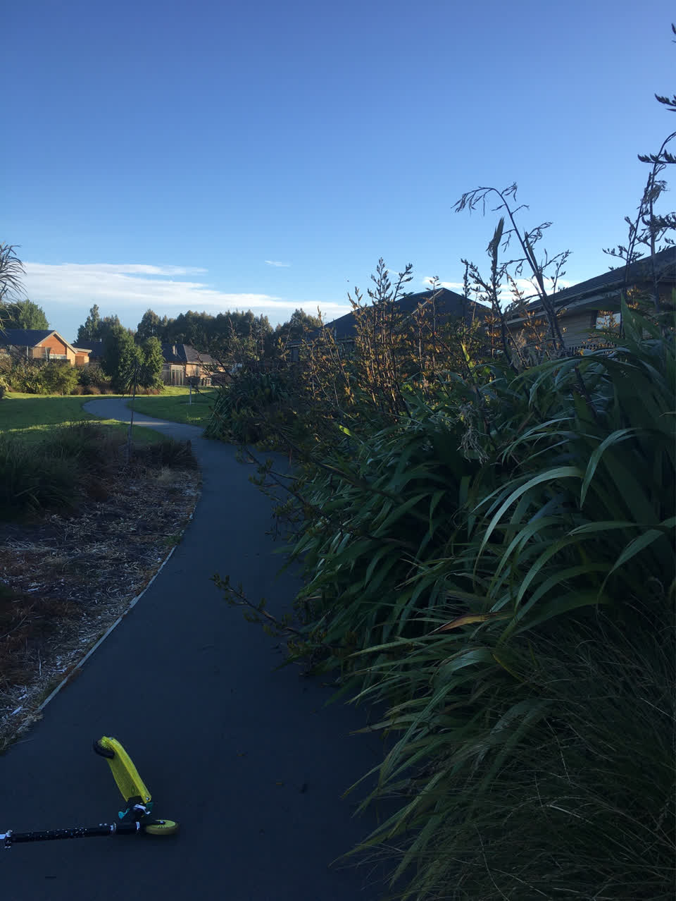 The photograph attached to this parks report