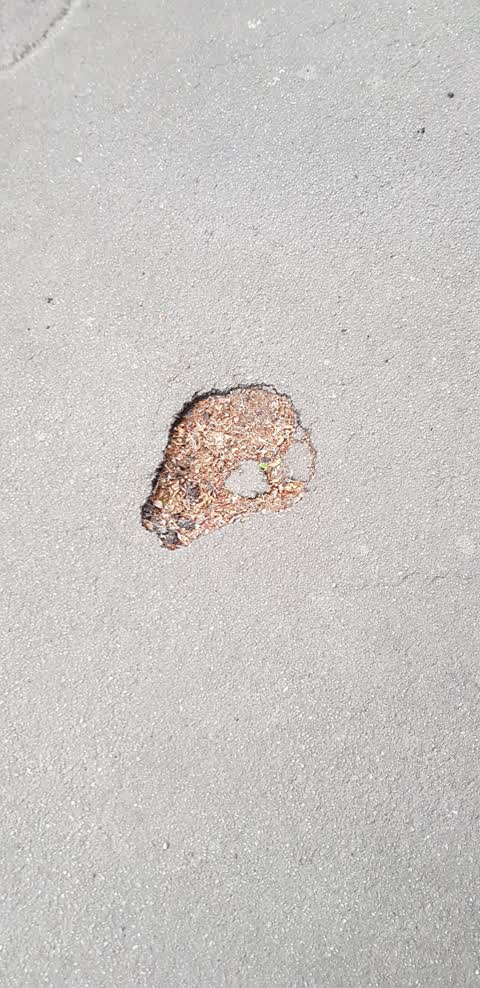 Roading/Streets, a report photo