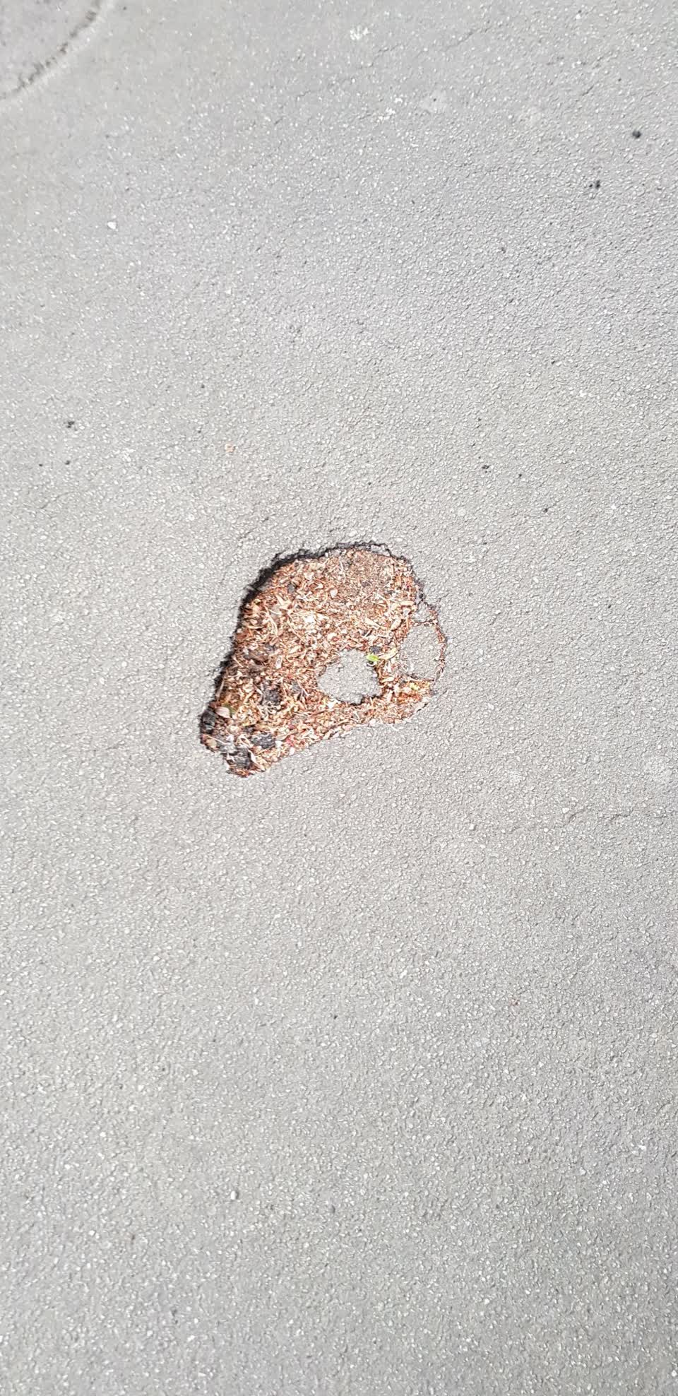 The photograph attached to this roading/streets report