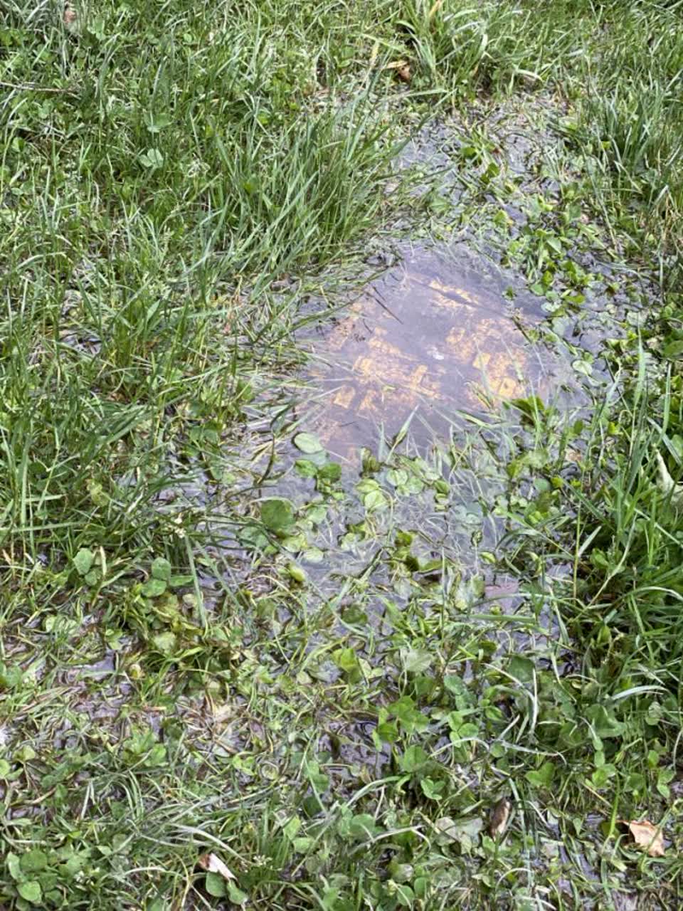 The photograph attached to this water supply report