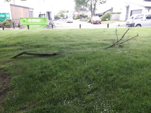 Parks — a report photo