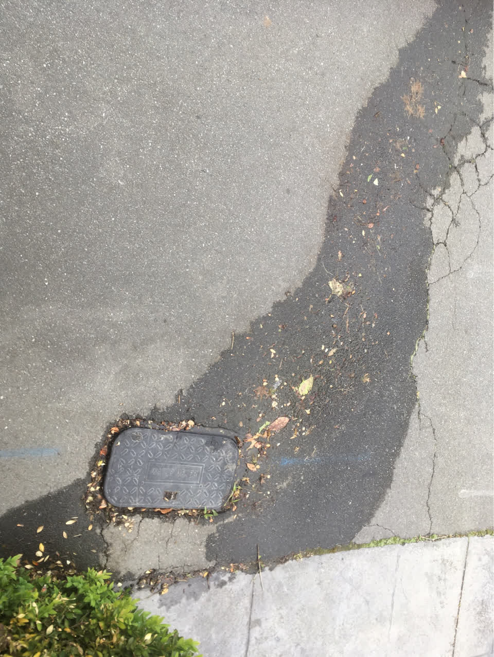 The photograph attached to this water supply report
