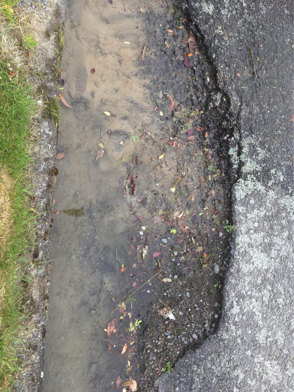 The photograph attached to this water supply report