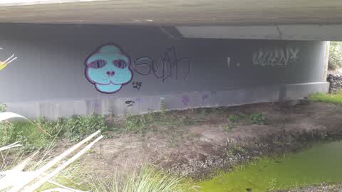 Graffiti, a report photo