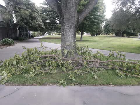 Parks, a report photo