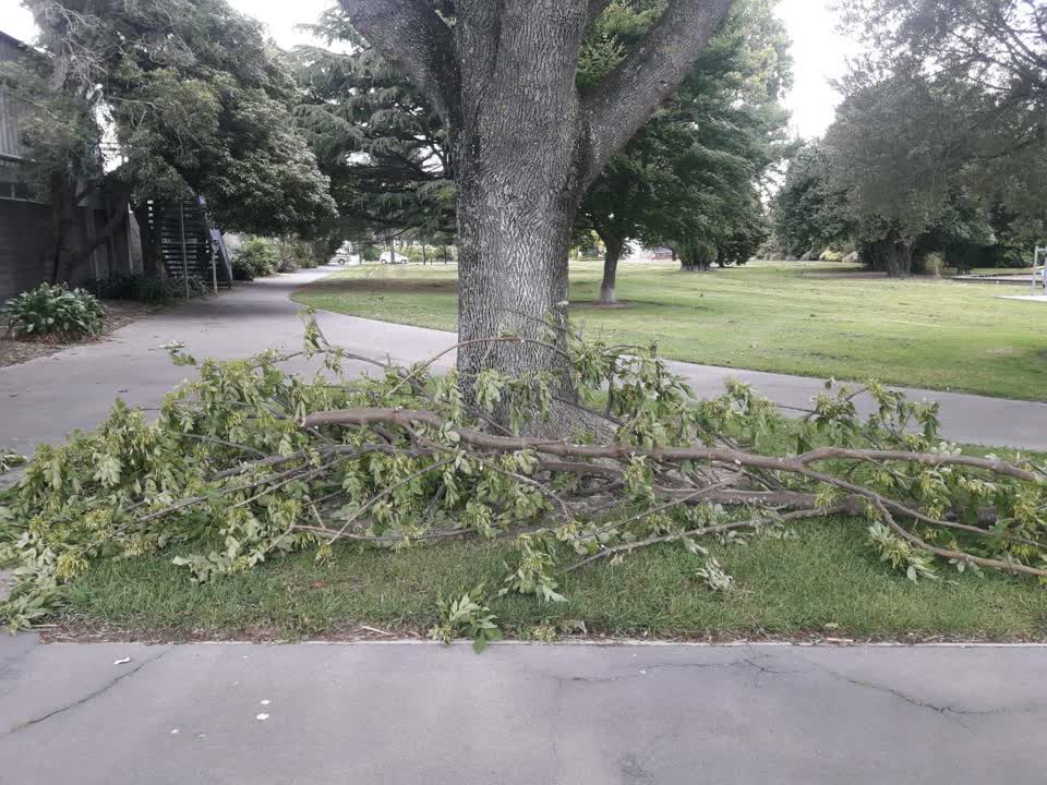 The photograph attached to this parks report