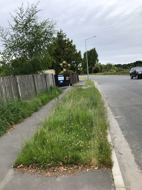 Roading/Streets, a report photo