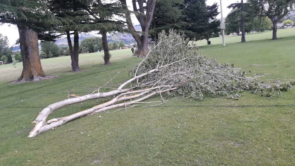 The photograph attached to this parks report