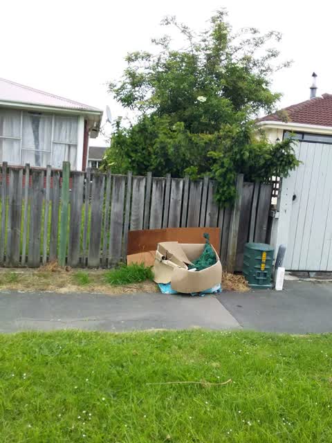 Rubbish/Recycling, a report photo