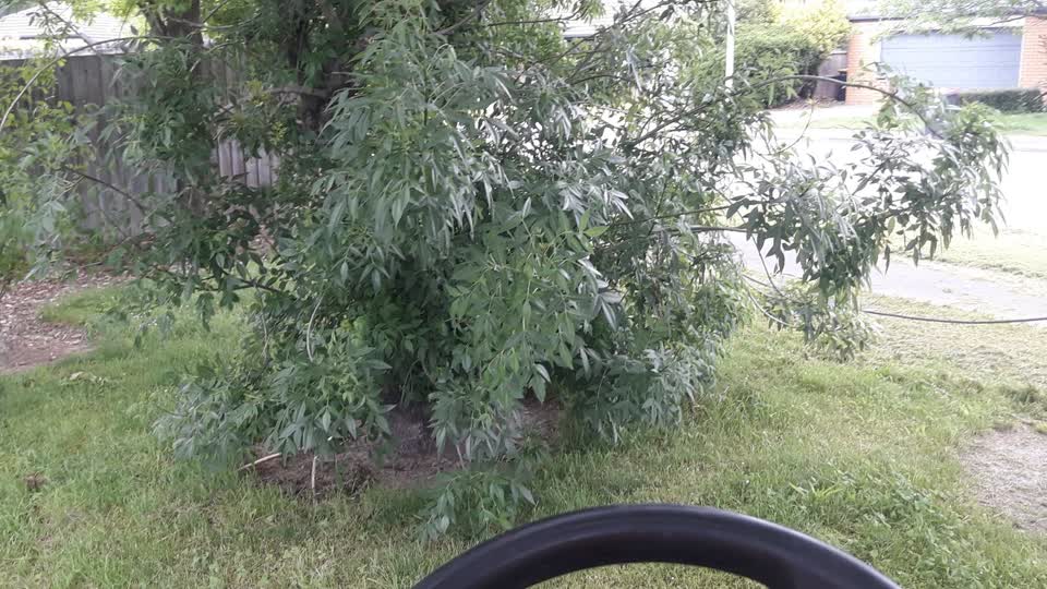 The photograph attached to this parks report