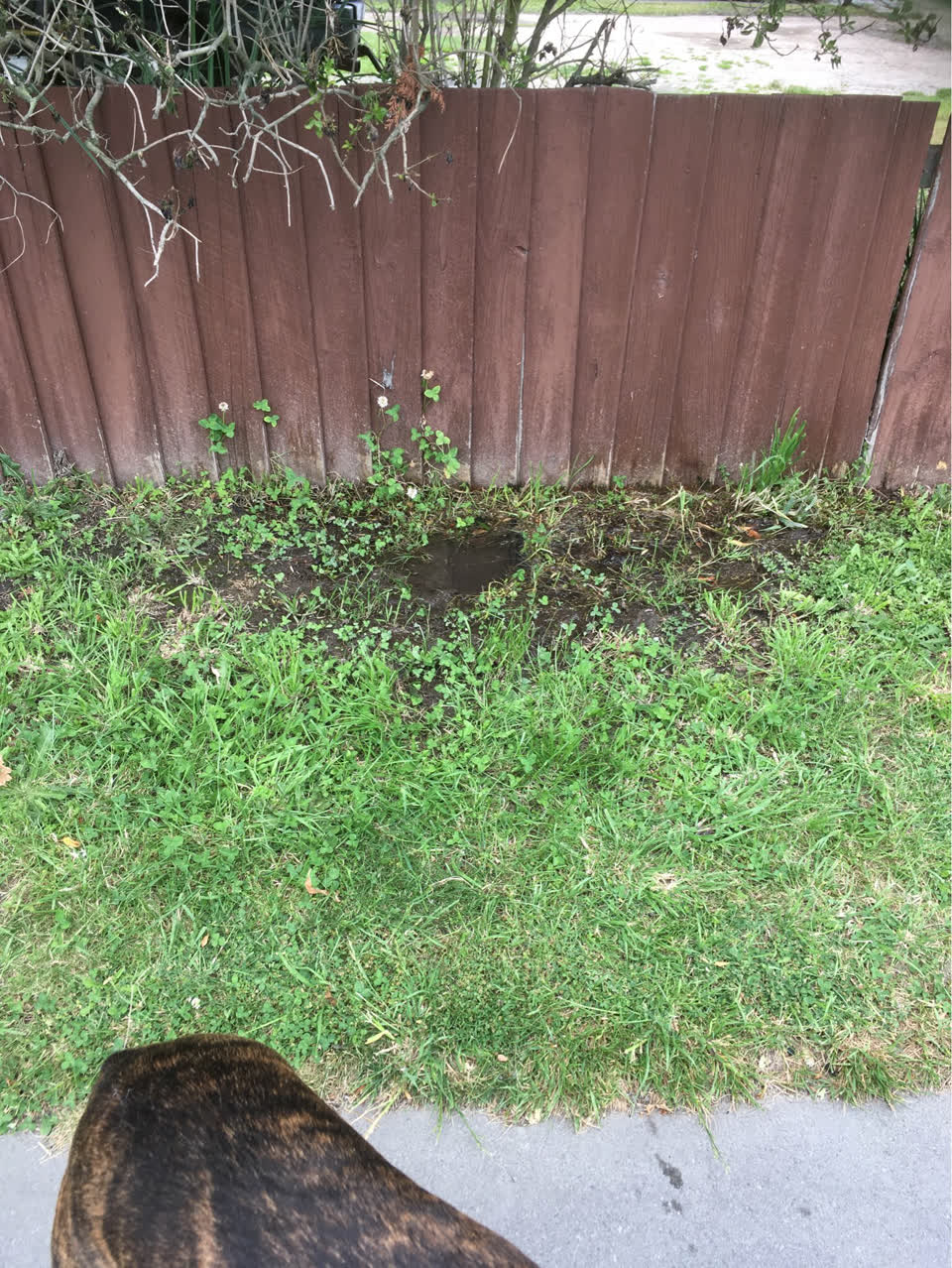 The photograph attached to this water supply report