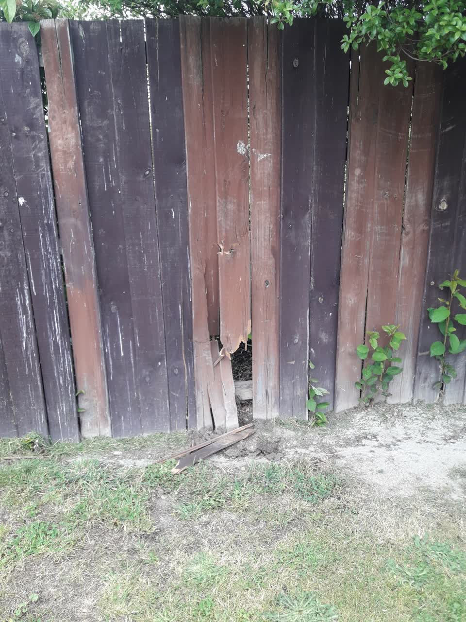 The photograph attached to this parks report