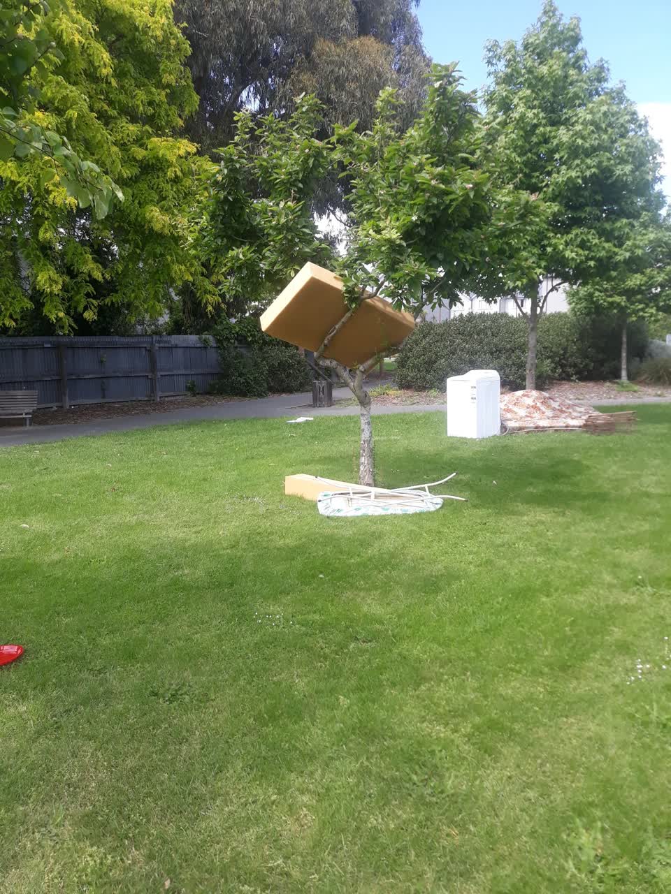 The photograph attached to this parks report