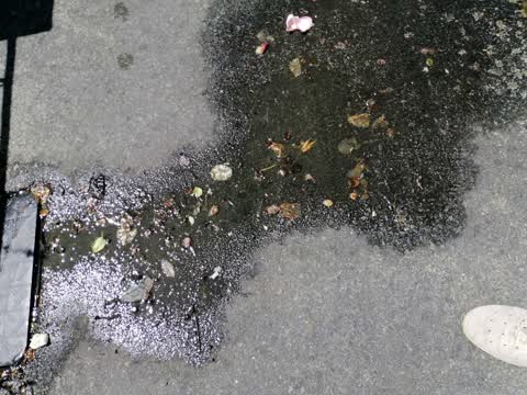 Water Supply, a report photo