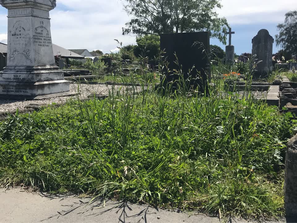 The photograph attached to this parks report