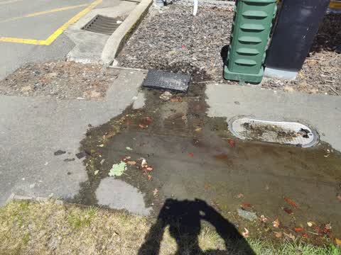 Water Supply, a report photo