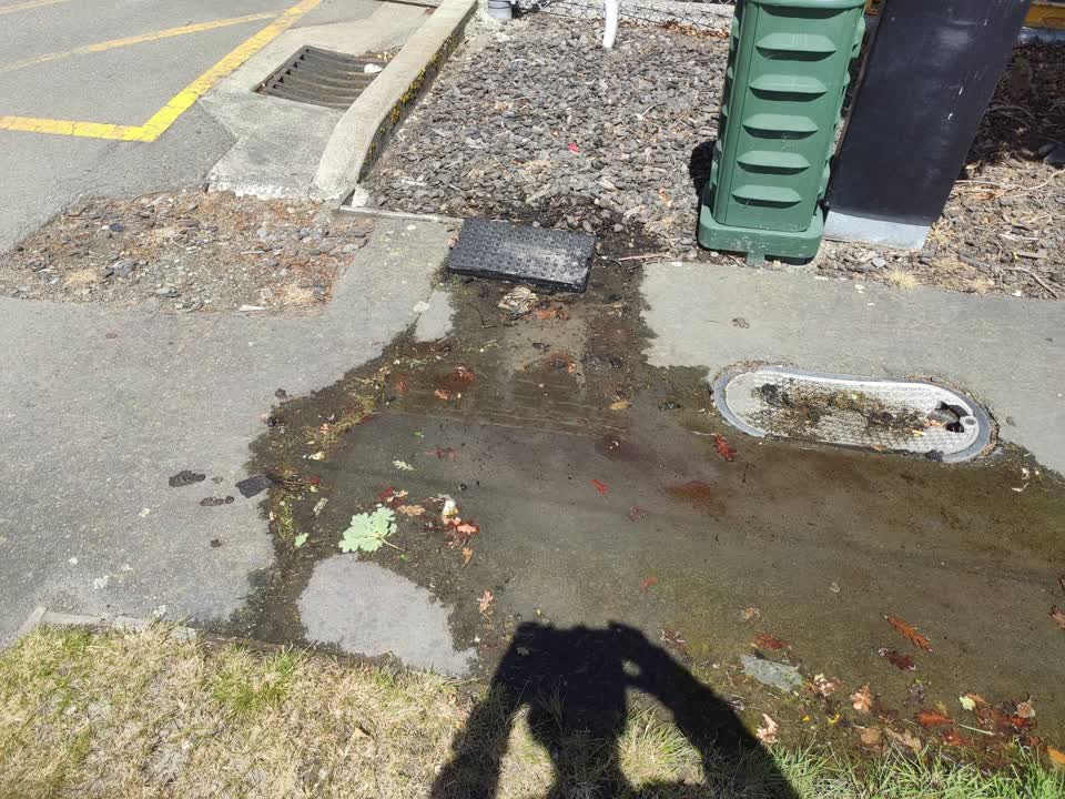 The photograph attached to this water supply report