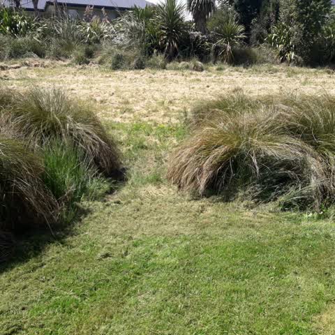 Parks, a report photo