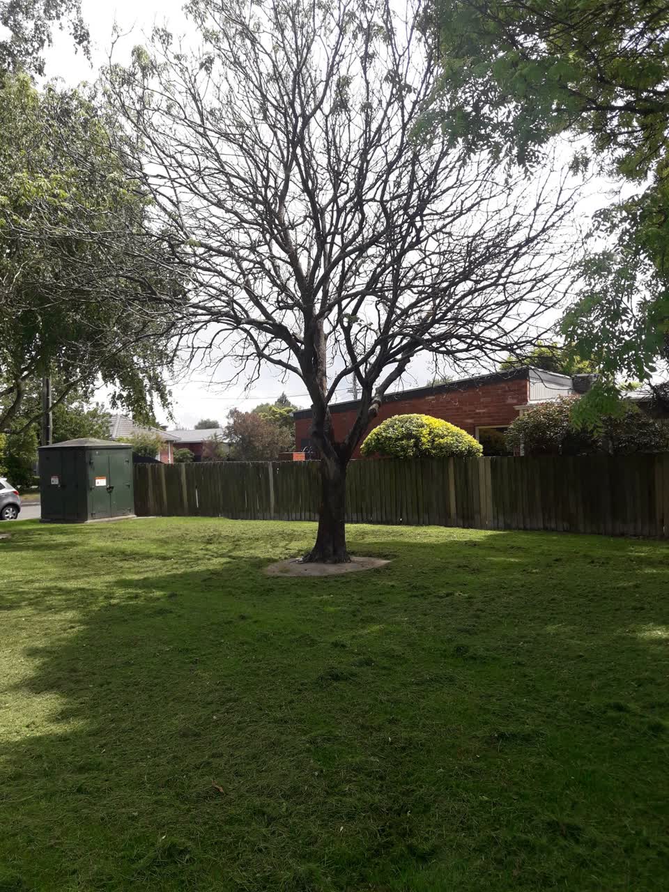 The photograph attached to this parks report