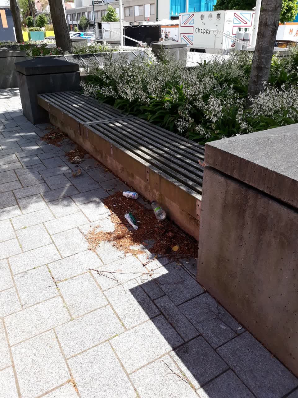 The photograph attached to this parks report
