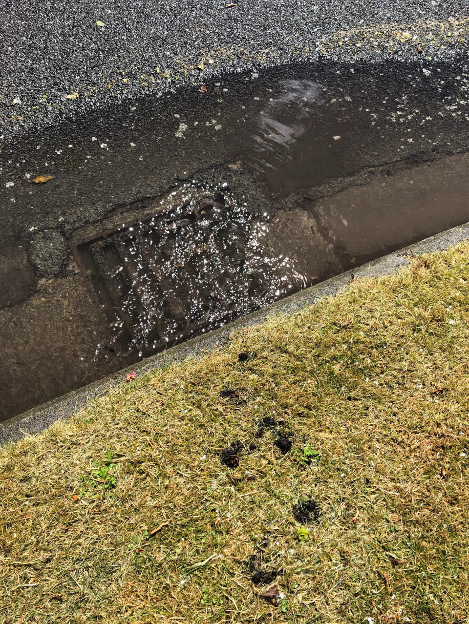 The photograph attached to this wastewater/stormwater report