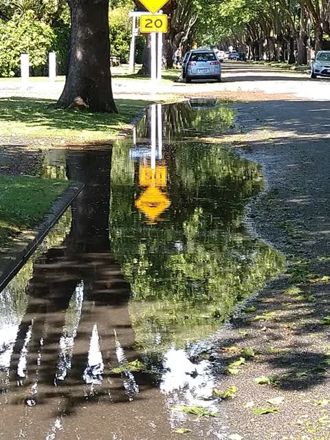 Flooding, a report photo