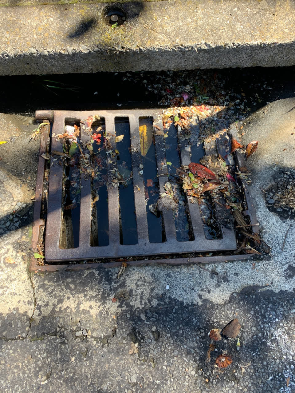 The photograph attached to this wastewater/stormwater report