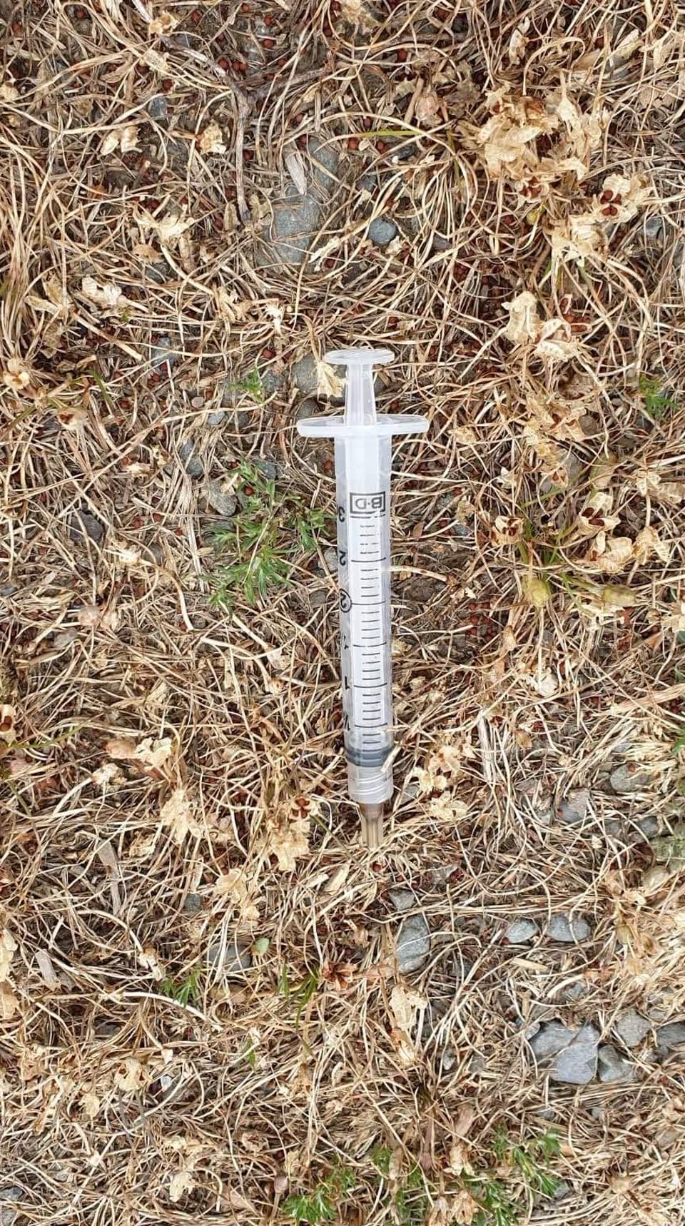 The photograph attached to this parks report
