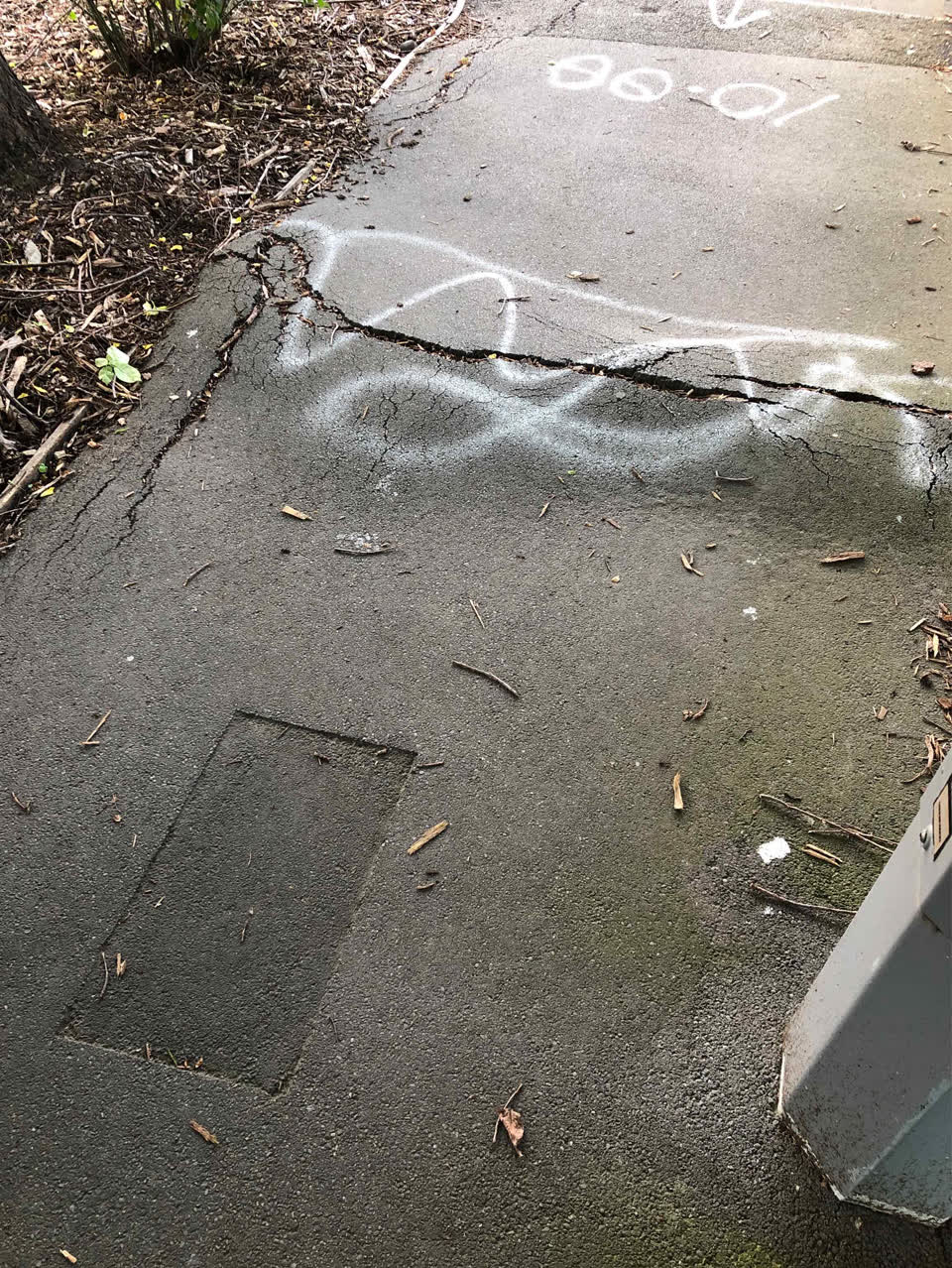 The photograph attached to this roading/streets report