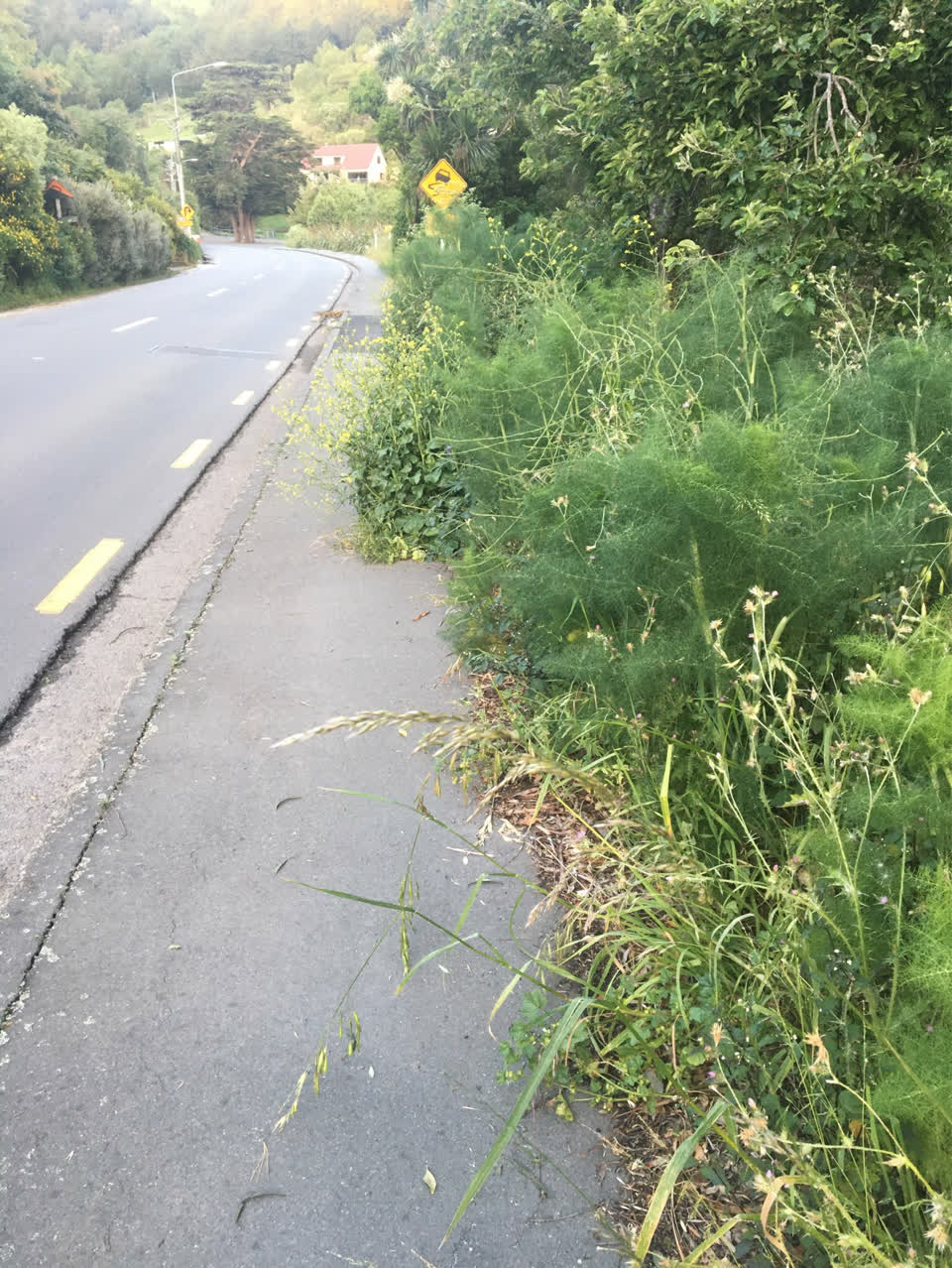 The photograph attached to this parks report