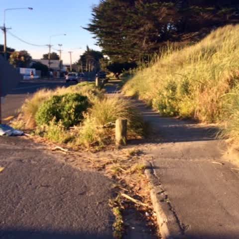 Roading/Streets, a report photo