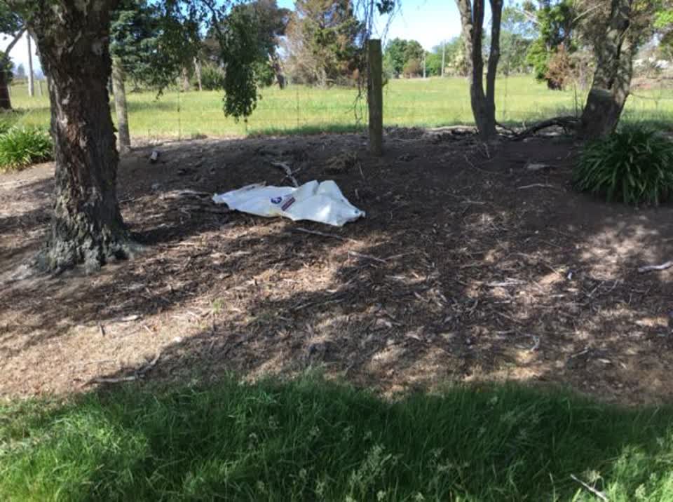 The photograph attached to this rubbish/recycling report