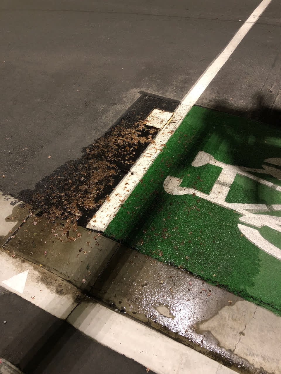 The photograph attached to this water supply report
