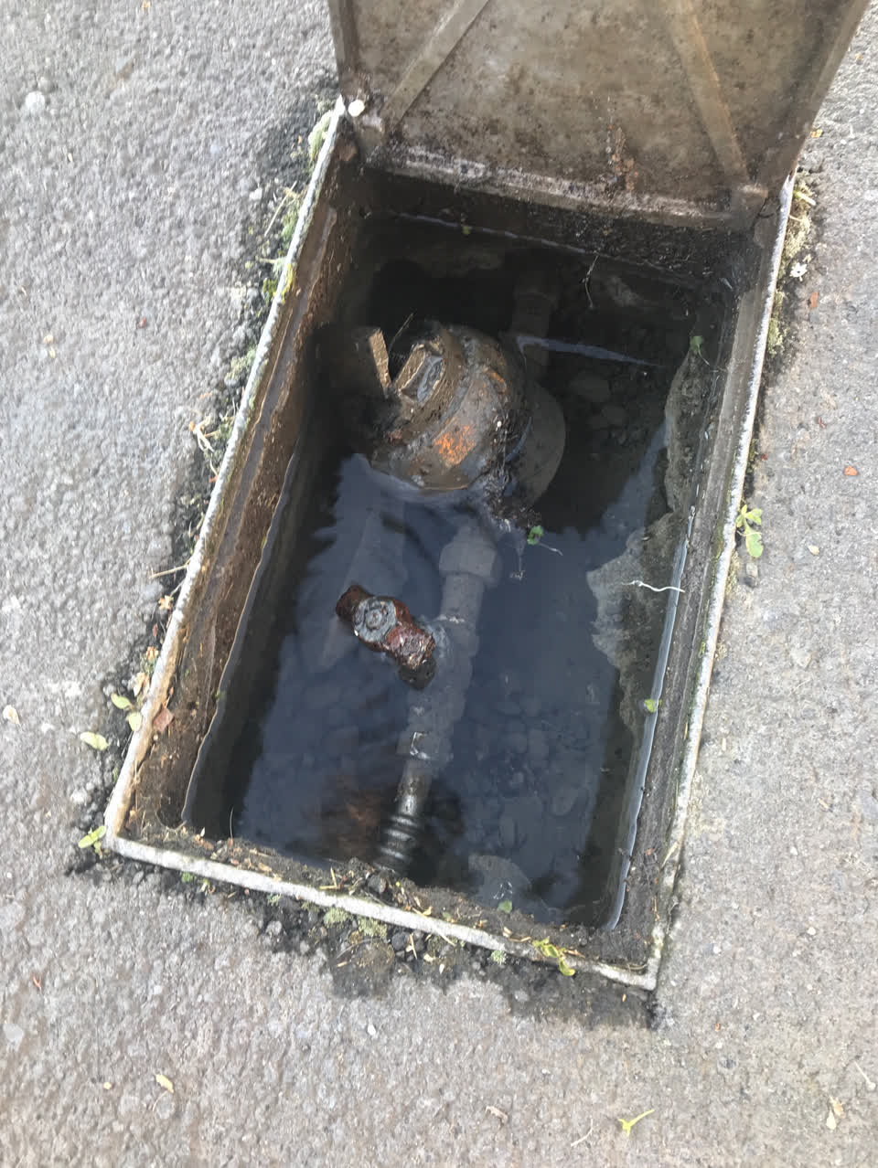 The photograph attached to this water supply report