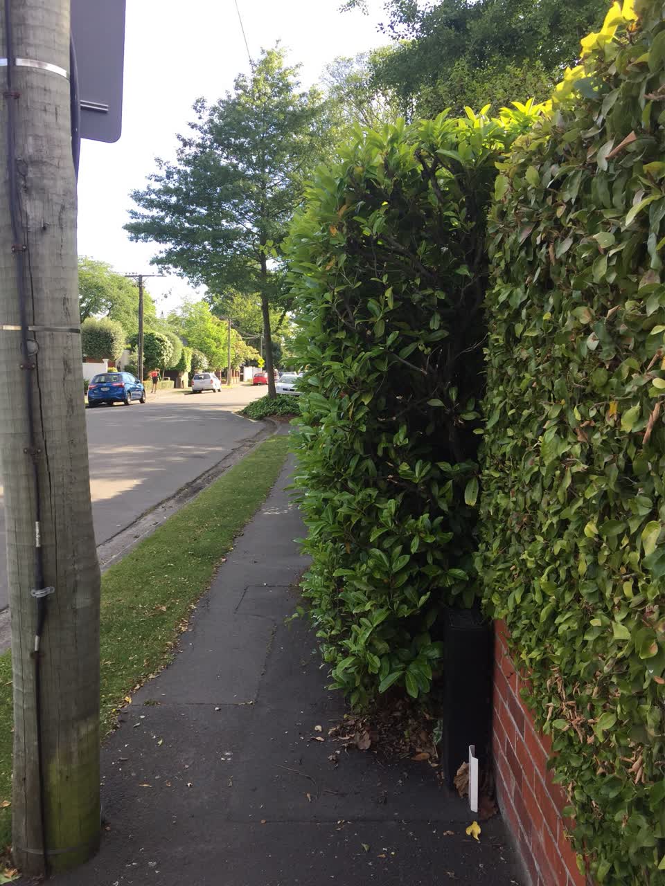 The photograph attached to this roading/streets report
