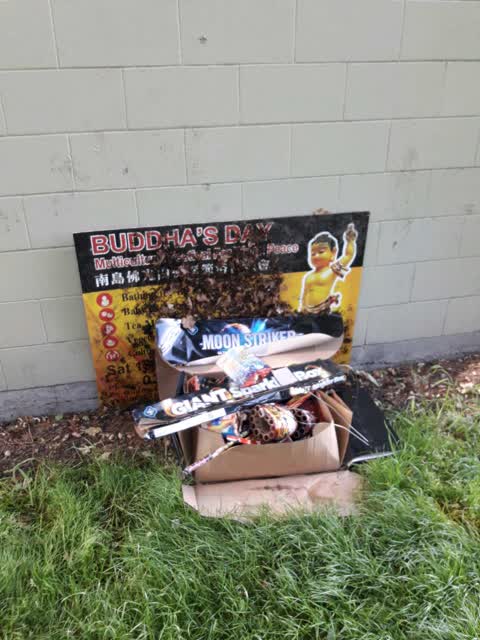 Rubbish/Recycling — a report photo