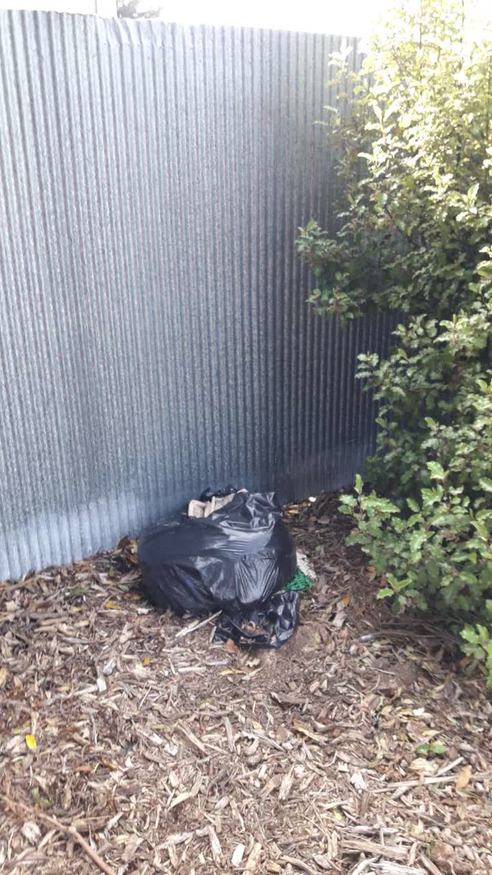 The photograph attached to this parks report