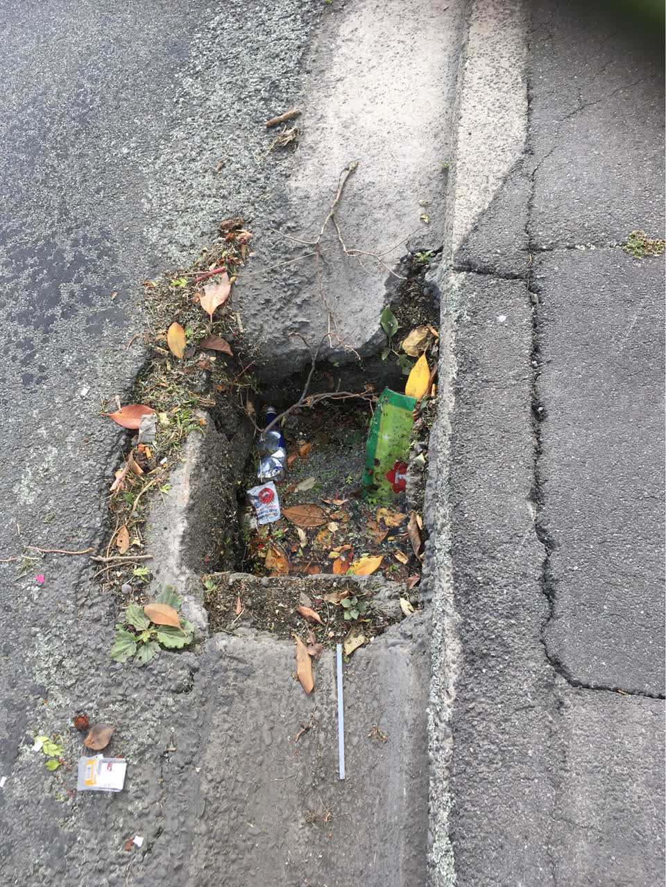 The photograph attached to this roading/streets report
