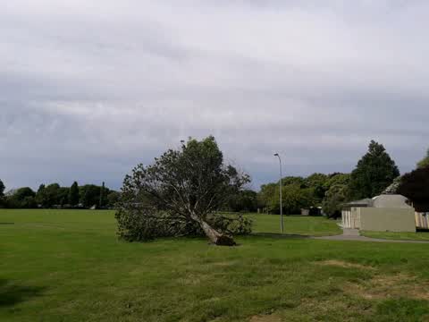 Parks — a report photo