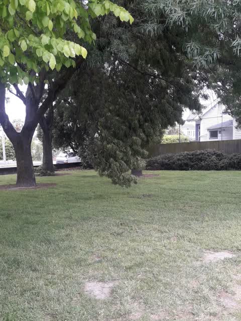 Parks — a report photo
