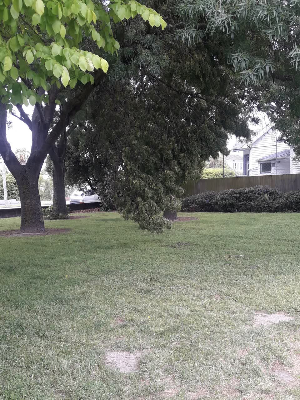 The photograph attached to this parks report