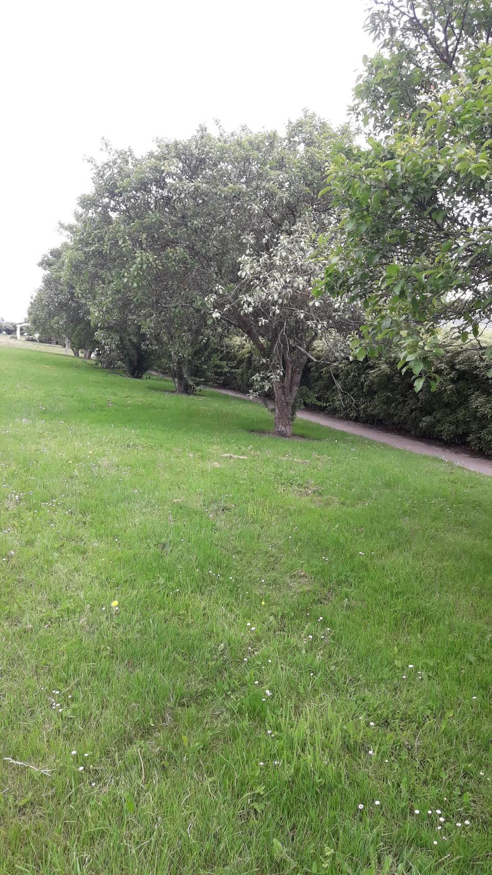 The photograph attached to this parks report