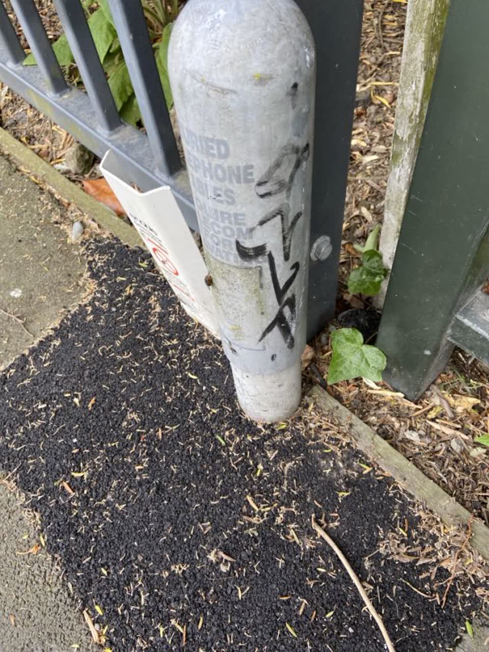The photograph attached to this graffiti report