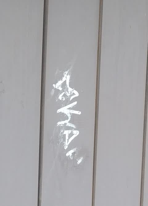 Graffiti — a report photo