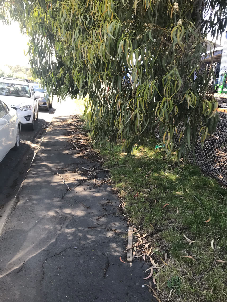 The photograph attached to this roading/streets report