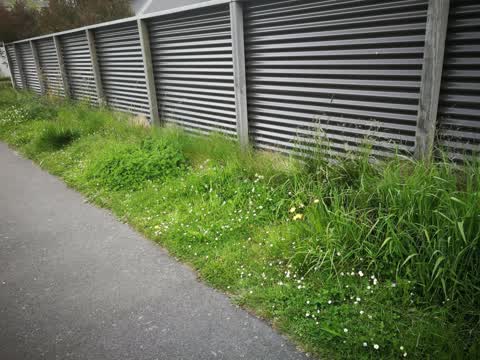 Roading/Streets, a report photo
