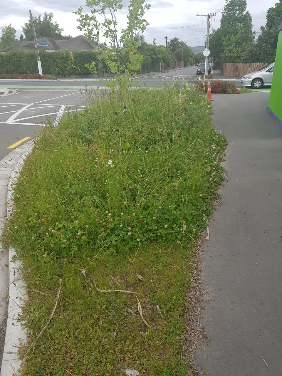 The photograph attached to this parks report