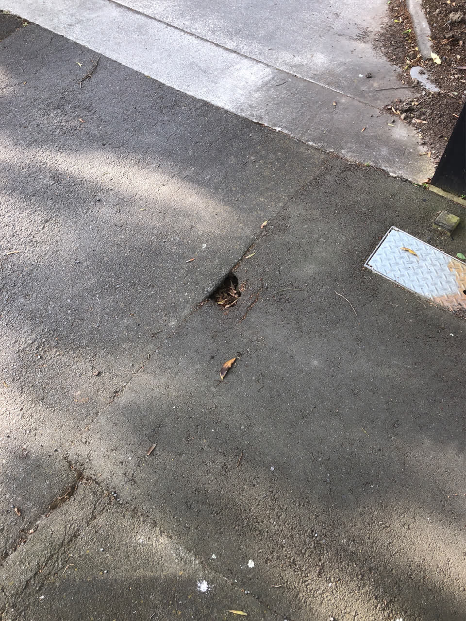 The photograph attached to this roading/streets report