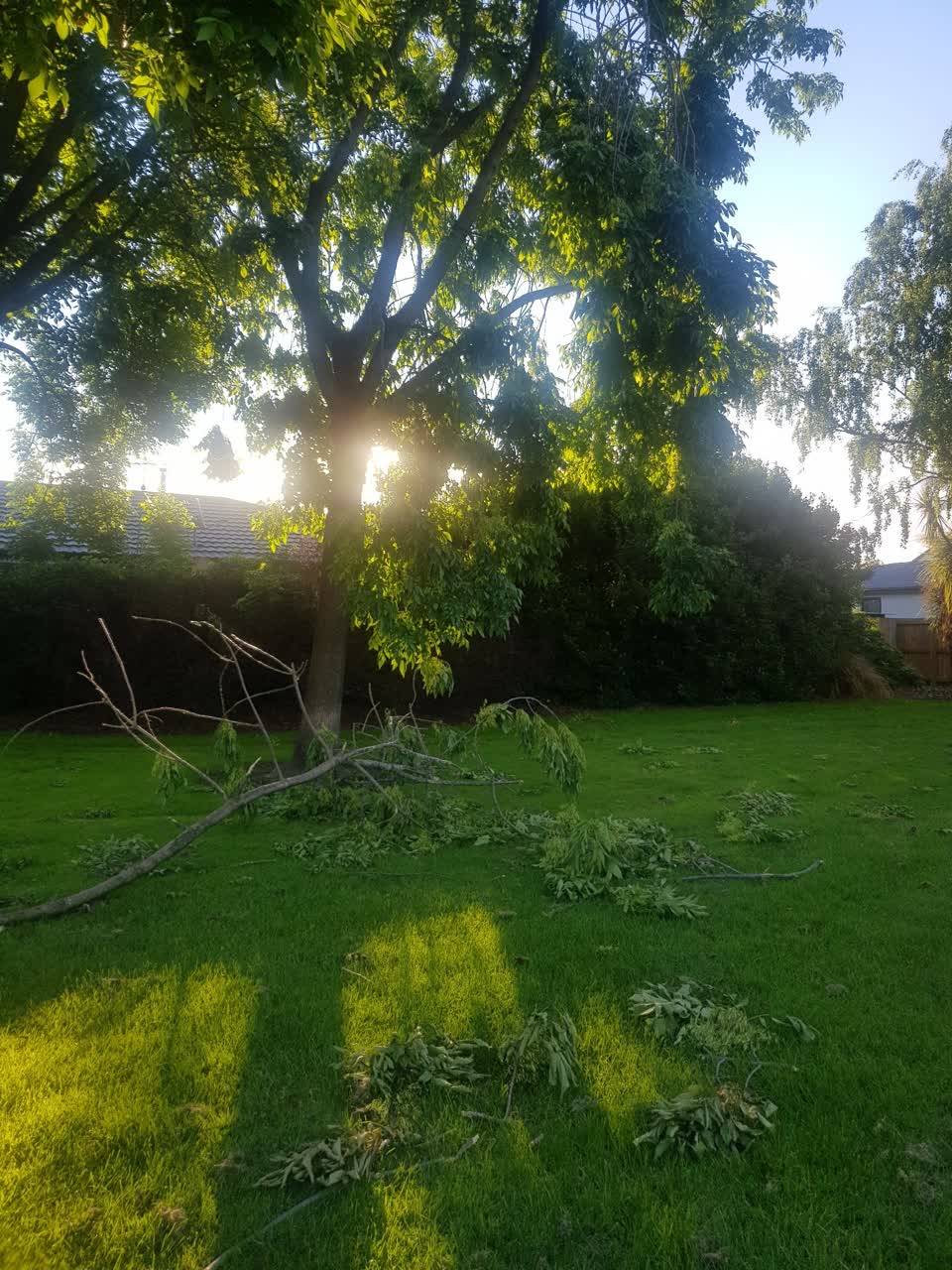 The photograph attached to this parks report